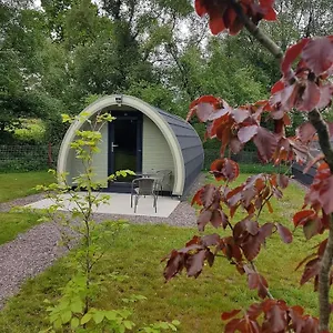 https://mount-hillary-holiday-pods.corkhotel.net
